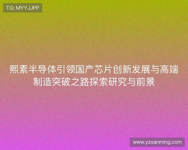 熙素半导体引领国产芯片创新发展与高端制造突破之路探索研究与前景